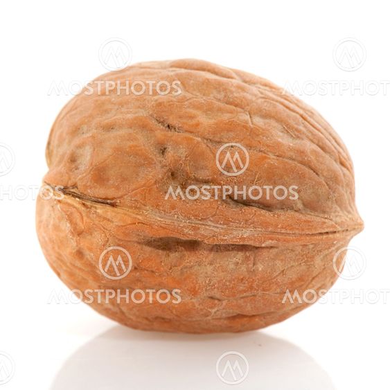 Walnut