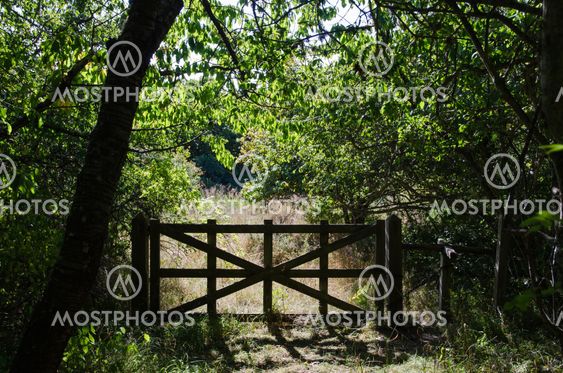 Old wooden gate