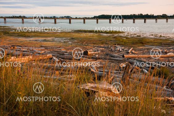 River At Sunset