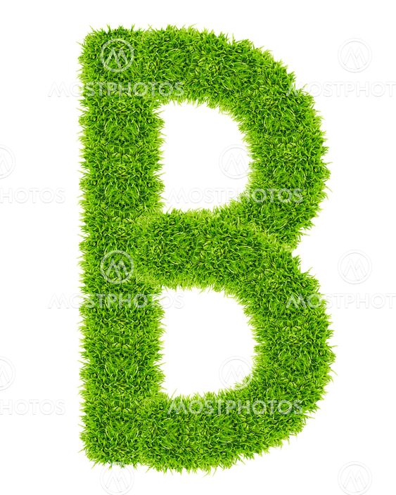 green grass letter B Isolated