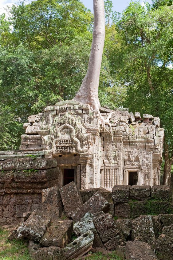 Ta Prohm in Angkor