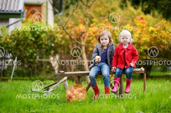 Two sisters sitting on a wooden bench on autumn