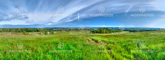 Wood and field