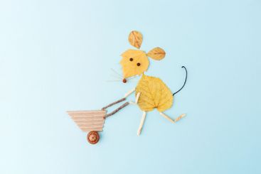 arrangement of pressed dried autumn leaves and twigs on...