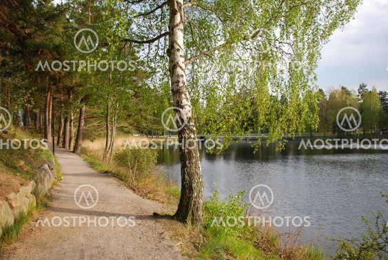 Footpath by seaside