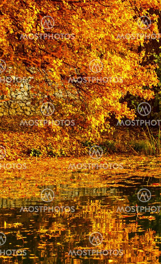 Autumn landscape