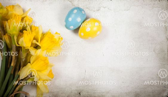 Easter background with painted eggs and blooming daffodils