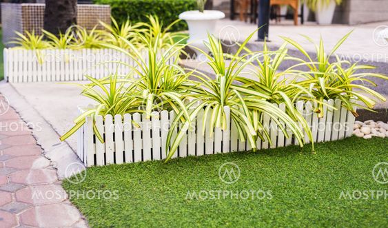 White wooden country style fence and small yard behind