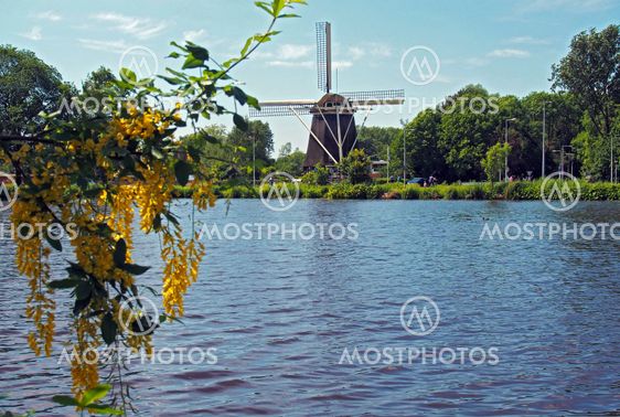 dutch landscape
