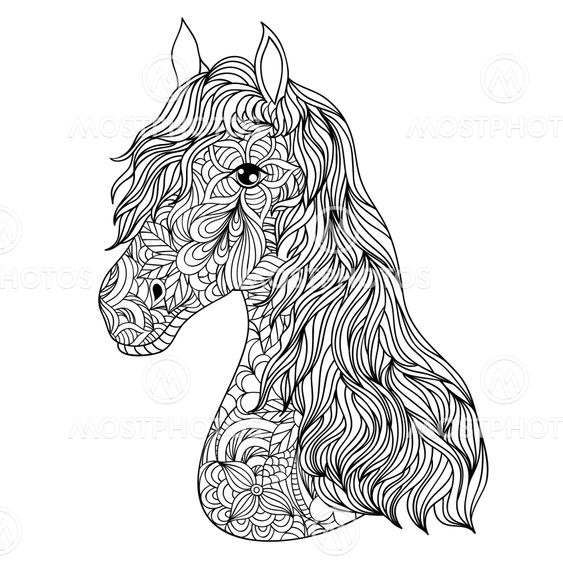 hand drawn horse on white background.