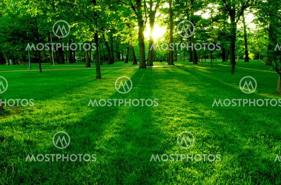 Green park