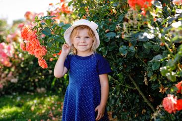 Portrait of little toddler girl in blossoming rose...