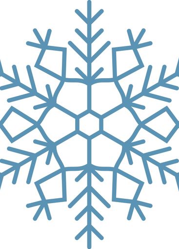 Stylized snowflake with intricate branches and hexagonal...