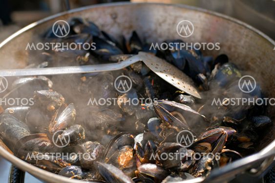 Mussels