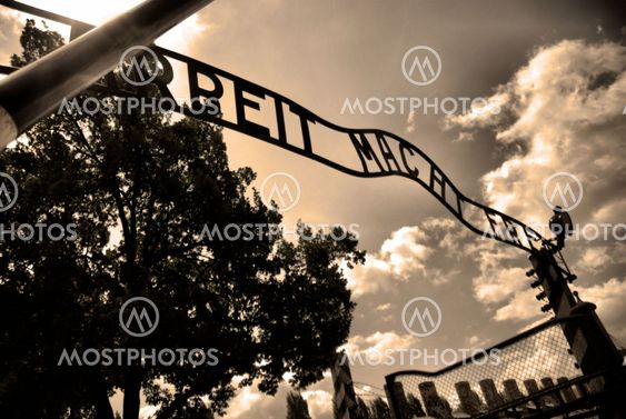 Auschwitz Birkenau camp