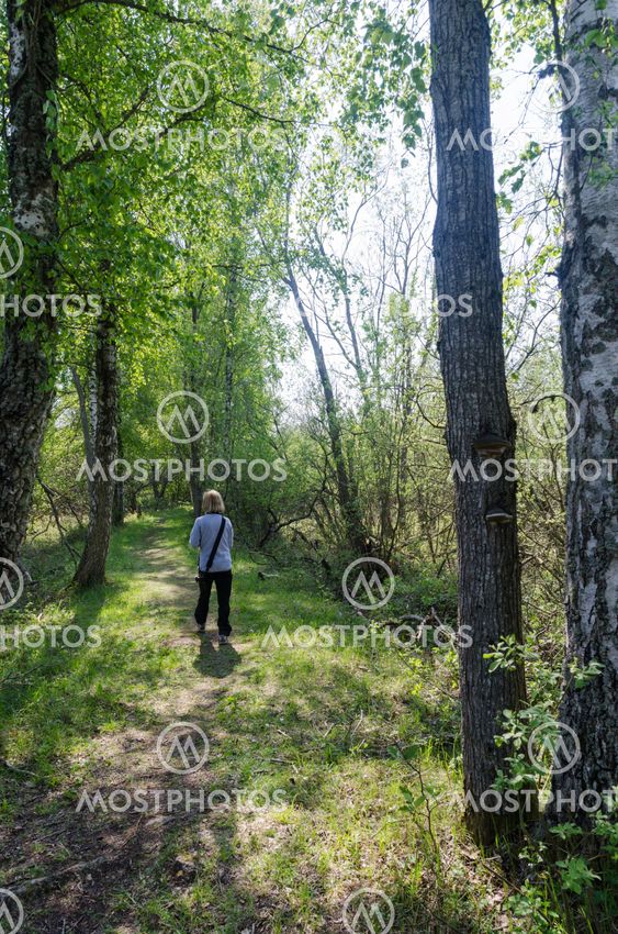 Besökare går på stigen i Petgärde träsk på Öland