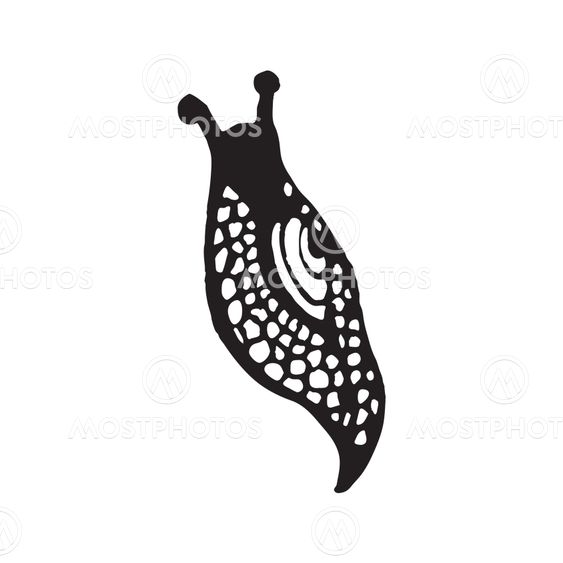 Silhouette of snail