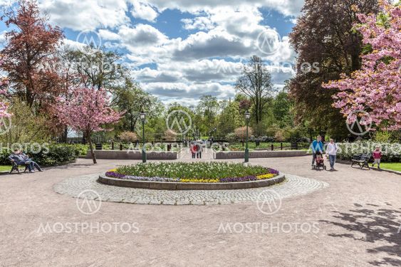 Trädgårsföreningen Linköping