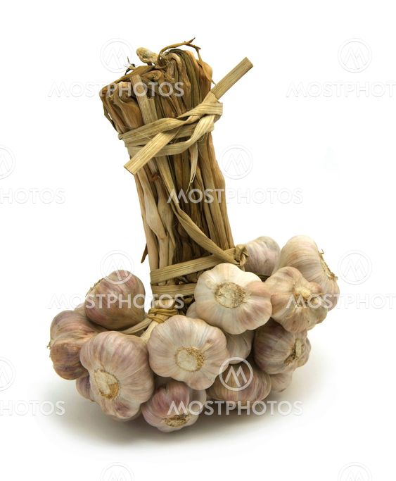 Garlic