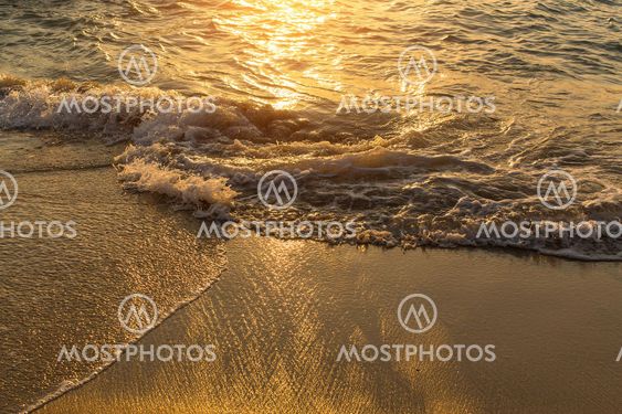 Surf line in a golden glow of the setting sun.