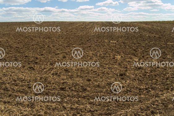 ploughing