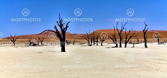 panoramic of deadvlei in the namib naukluft national park namibia