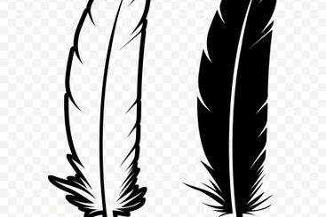 Vector Black and White Fluffy Feather Logo Icons....