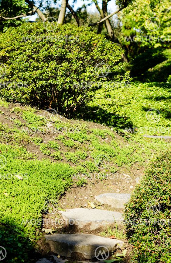 Stoned stairs in a japanese garden