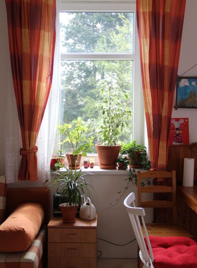 Room interior with flowers
