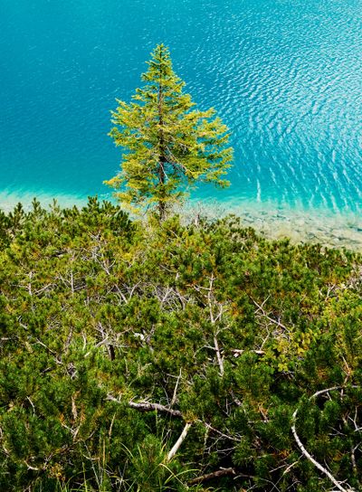 The Pragser Wildsee at daylight