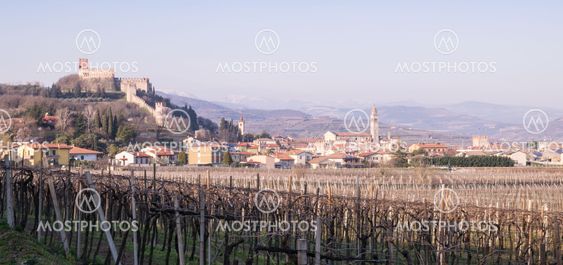 view of Soave (Italy) and its famous medieval castle