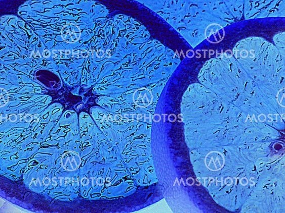 Grapefruit in blue