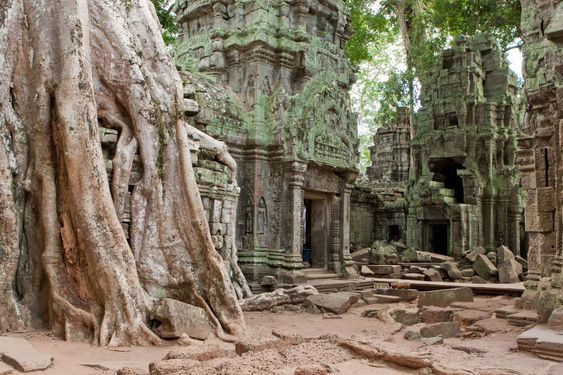 Ta Prohm in Angkor