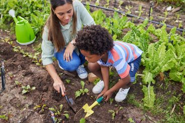 Above, field trip and woman with school boy on farm for...