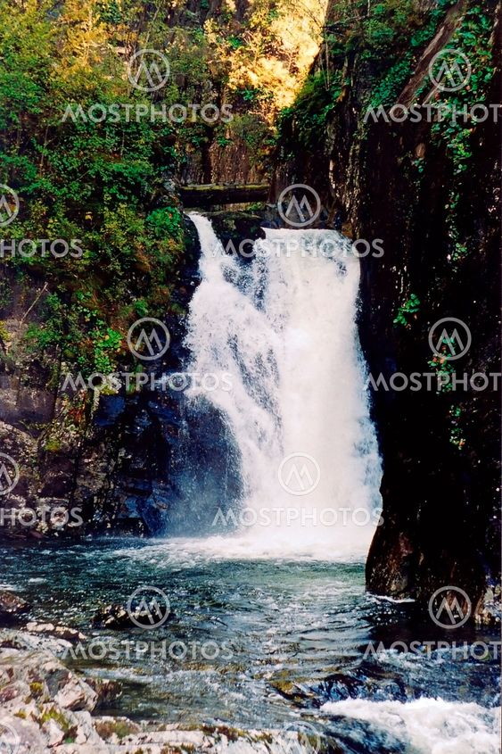 Falls