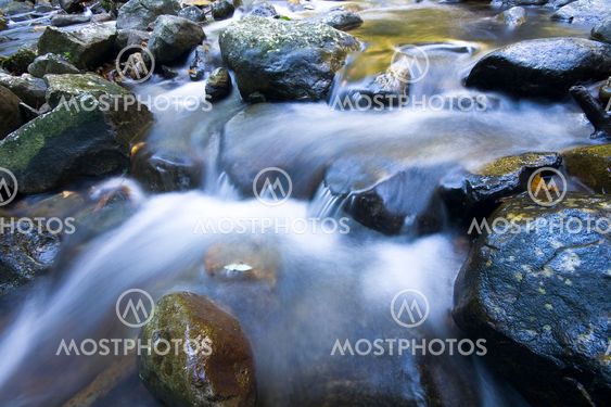 Cascade falls over mossy rocks