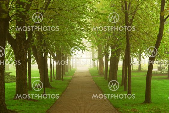 Dimmigt park