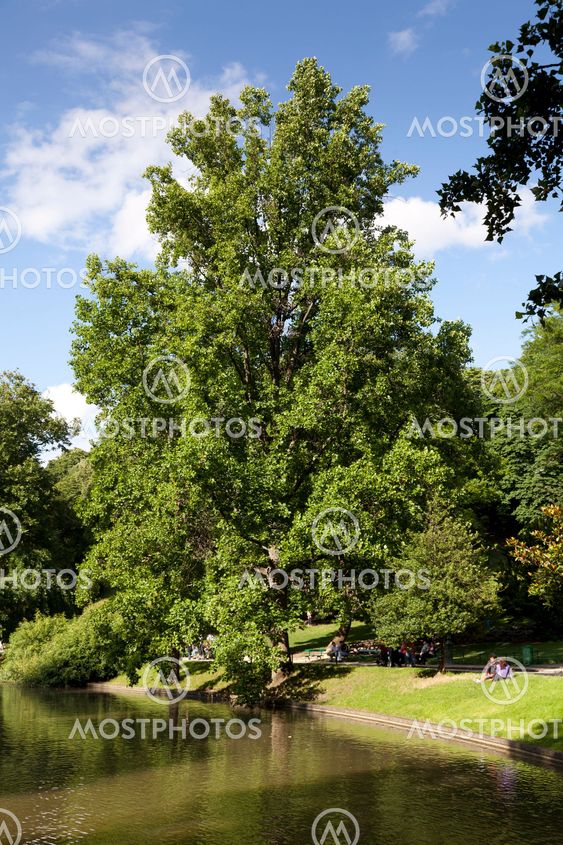 Buttes-Chaumont park, Paris, Ille de France, France