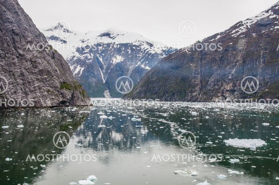 Calm Water in Alaska with Ice Chunks