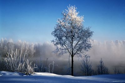 Winter in Sweden