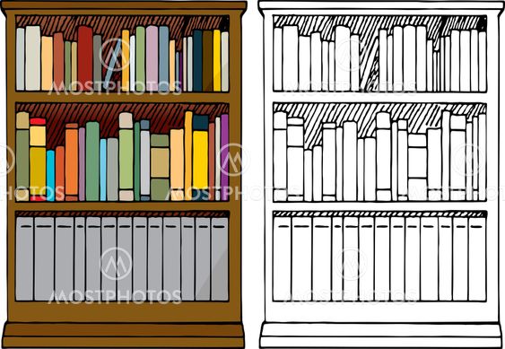 A Full Bookshelf