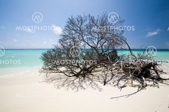 anegada saaren