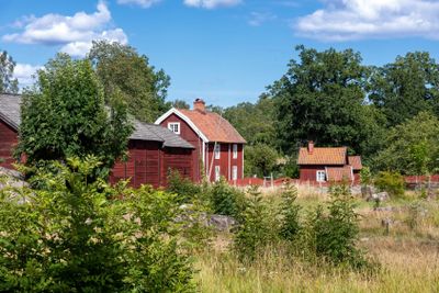 Village with red woooden houses