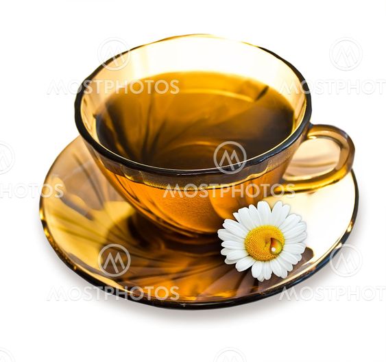 A cup of tea with a camomile and drop on a saucer isolated on white