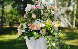 Download Strand tema modtagelse dekorationer Desktop Wallpaper Free