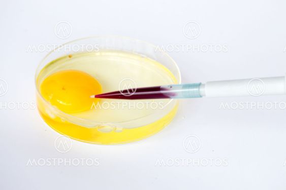 Fecundating and egg