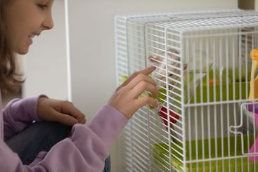 Happy young teen girl playing with domesticated rat.
