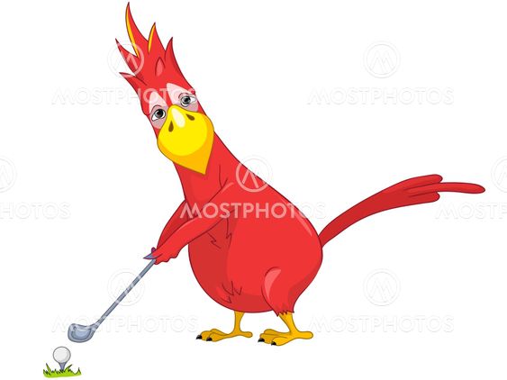 Funny Parrot. Golf.