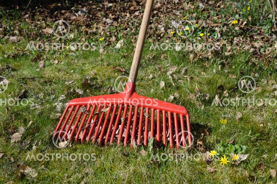 Rake among leaves at spring