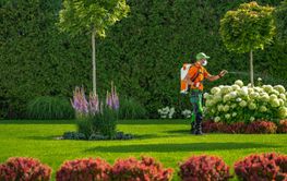 Gardener Treating Plants With Spray in a Vibrant Green...